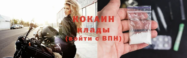 дмт Няндома
