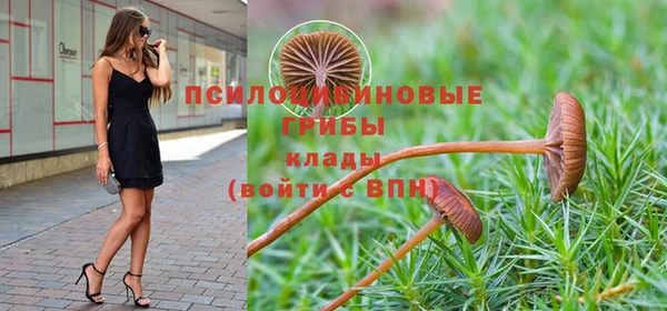 гидропоника Белая Холуница