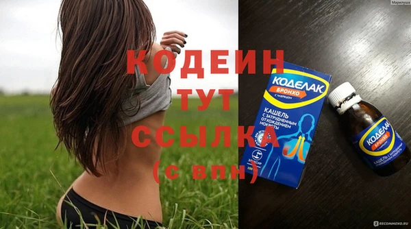 дмт Няндома