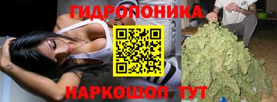 PSILOCYBIN Берёзовский