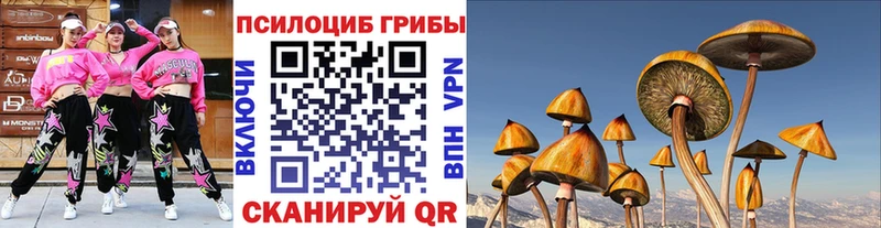 Галлюциногенные грибы прущие грибы  блэк спрут сайт  Верхняя Салда 