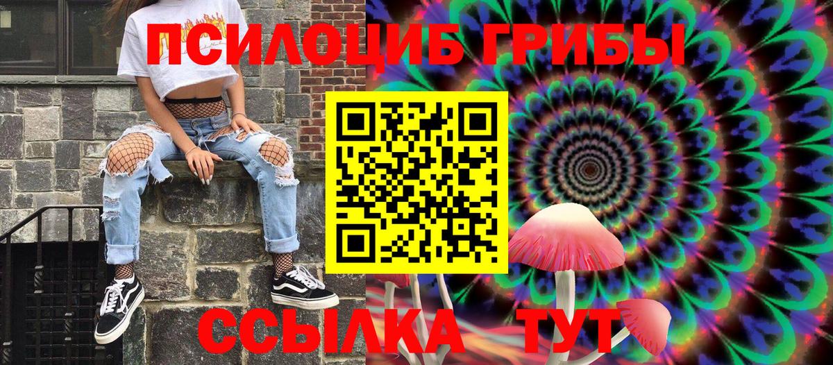 Галлюциногенные грибы Psilocybine cubensis Верхняя Салда