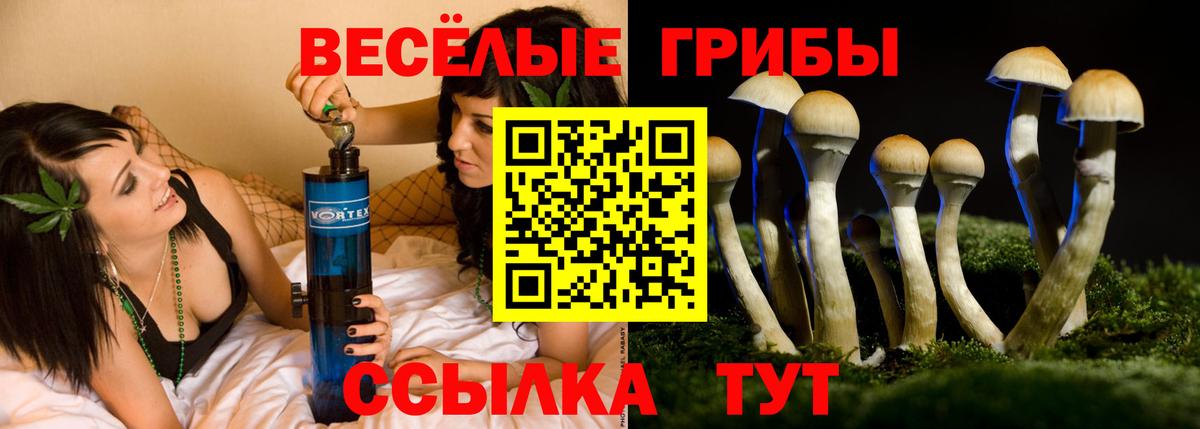 Верхняя Салда  наркота  Вход с VPN  Псилоцибиновые грибы Psilocybe  Псилоцибиновые грибы мухоморы 