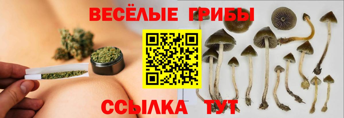 Галлюциногенные грибы ЛСД  Галлюциногенные грибы Cubensis  Верхняя Салда 