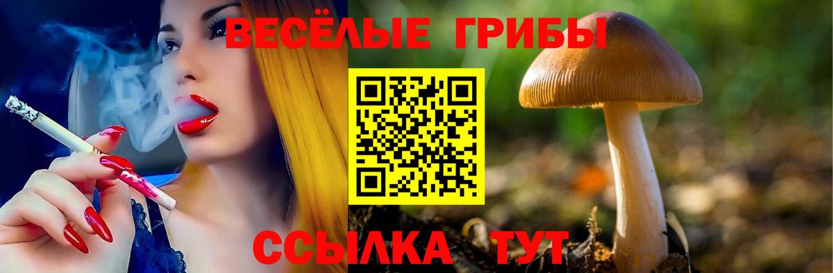 Псилоцибиновые грибы Psilocybe Верхняя Салда